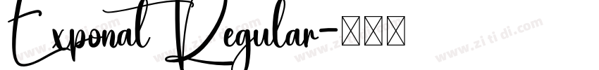 Exponat Regular字体转换
